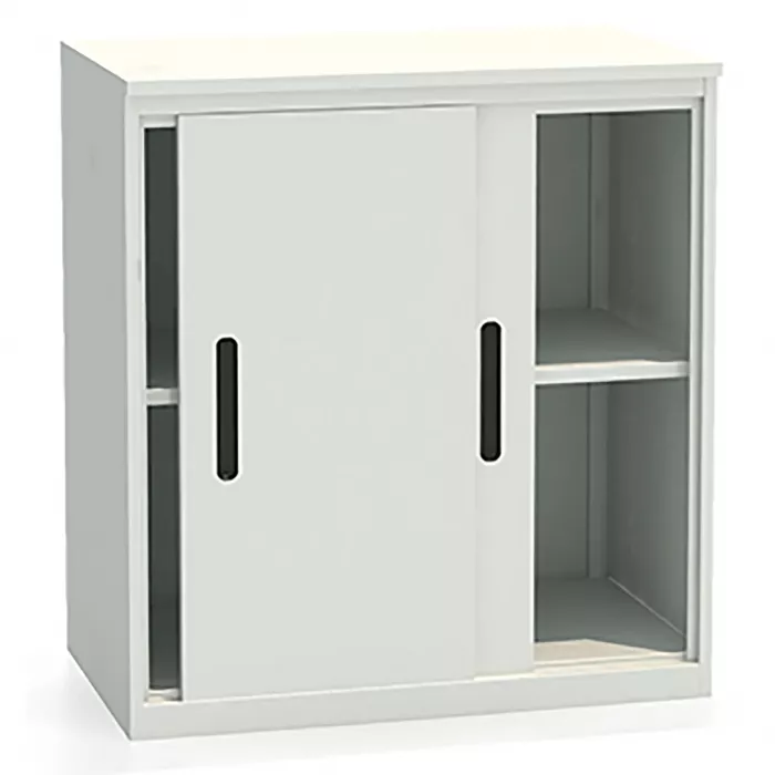 Шкаф-купе архивный ALS-8896